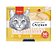 Wanpy Creamy Sabores Frango 700g (50 unidades) - Imagem 1
