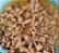 Sache Royal Canin Gatos Castrados Sterilised 85g - Imagem 2