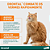 Drontal Gatos c/ 4 comprimidos - Imagem 2