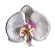 Presilha de orquídea média branca com rosa - Imagem 1