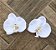 Kit 2 presilhas de orquídeas brancas com miolo de pérolas - Imagem 1