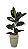 Arranjo de Ficus Elástica Rubro no Vaso de Polietileno - Imagem 1