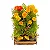Tagetes Anão - Caixa com 15 unidades - Imagem 1
