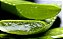 Babosa ou Aloe Vera - Pote 15 - Imagem 2