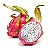 Pitaya - 90 cm a 1,30 metros - Imagem 2