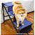 Escada Rampa One para Cães e Gatos Azul (Até 15kg) - Tubline - Imagem 8