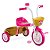 Triciclo Infantil Princesas em Alumínio - Nathor - Imagem 1
