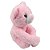 Cobertor e Bichinho de Pelúcia Loani Ursinho Rosa - Imagem 7