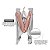 Berço Desmontável Multikids Baby DayDream Rosa até 15 kg - Imagem 8