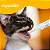 Suplemento Probióticos P/ Gatos | Lactobac Cat Plus 12ml - Organnact - Imagem 2