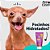 Creme Hidratante para Focinhos 60g - Pet Clean - Imagem 5