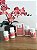 Hair & Nail Force – Crescimento e Fortalecimento para Cabelos e Unhas - 30 doses - Imagem 3