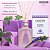 Difusor de Ambiente Lavanda 250ml - Terrapeutics Granado - Imagem 2