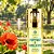 Body Splash Poppymist & Vanilla Kiss 250mL - Assala - Imagem 3