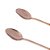 CJ 2 COLHERES ACO INOX BAILARINA OXFORD WOLF ROSE 30cm - Imagem 3