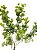 Galho Folhagem Mini Eucalipto Verde 65cm - Imagem 2