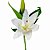 Haste Flor de Lírio Branca alta qualidade 36cm - Imagem 2