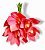 Buque Orquidea Cymbidium - Rose 31cm - Imagem 2
