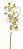 Galho 10 Orquidea Cymbidium Grande Toque Real - Branca 63cm - Imagem 1