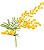 Galho Decorativo Floral Mimosa - Amarelo 57cm - Imagem 2
