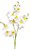 Galho Orquidea Cymbidium 10 flores - Branca 86cm - Imagem 2
