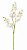 Galho Orquidea Cymbidium 10 flores - Branca 86cm - Imagem 1