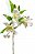 Galho com 3 Flores Lirio Branco 57cm Toque Real - Imagem 1