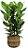 CESTO CACHEPOT DECORATIVO COLOR JANE DESERT PP - Imagem 2