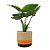 CESTO SEAGRASS MEGAN NATURAL PRETO E LARANJA GGG - Imagem 2