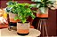 CESTO SEAGRASS MEGAN NATURAL PRETO E LARANJA GGG - Imagem 3