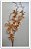 Haste de Flor Orquidea Cymbidium Palha 90cm - Imagem 2