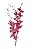 Haste de Flor de Orquidea Cymbidium Pink 90cm - Imagem 1