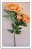 Galho com 3 Flores Peonia - Laranja 90cm - Imagem 2