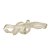 ESCULTURA NO DECOR EM VIDRO INCOLOR COM PONTOS DOURADO 24cm - Imagem 1
