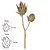 HASTE DECORATIVA PROTEA X2 FLORES COR PALHA OUTONO 65cm - Imagem 2
