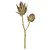 HASTE DECORATIVA PROTEA X2 FLORES COR PALHA OUTONO 65cm - Imagem 1