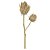 HASTE DECORATIVA PROTEA X2 FLORES COR PALHA 65cm - Imagem 1