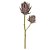 HASTE DECORATIVA PROTEA X2 FLORES COR PURPURA OUTONO 65cm - Imagem 1