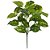 FOLHAGEM JIBOIA FORRACAO TOQUE REAL X26 VERDE CREME 30cm - Imagem 1