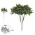 FOLHAGEM PICK GRASS PLASTICO X6 GALHOS VERDE 23cm - Imagem 2