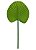 FOLHA LEQUE VERDE ESCURO 36cm - Imagem 1
