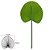 FOLHA LEQUE VERDE ESCURO 36cm - Imagem 2