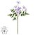 HASTE FLOR DO CAMPO X7 ROSA 50cm - Imagem 2