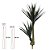 ARVORE YUCCA X41 FOLHAS VERDE 1,3m - Imagem 2