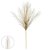 CAPIM DOS PAMPAS PLUMA X7 CHA 2 TONS 70cm - Imagem 2