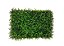 KIT 10 PLACAS GRAMA SAMAMBAIA JARDIM VERTICAL VERDE 40X60cm - Imagem 1