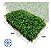 KIT 10 PLACAS GRAMA SAMAMBAIA JARDIM VERTICAL VERDE 40X60cm - Imagem 2