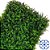 KIT 10 PLACAS GRAMA SAMAMBAIA JARDIM VERTICAL VERDE 40X60cm - Imagem 3