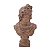 ESCULTURA BUSTO DECORATIVO EM RESINA MARROM - 30CM - Imagem 1