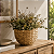 CACHEPOT EM FIBRA NATURAL MART 16cm - Imagem 2
